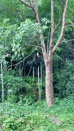 这是修到哪个段位了？离白日飞升还差多少？[哭哭]