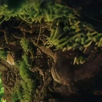 每日一善做你想做的事情，趁阳光正好，去追逐梦想，趁还年轻。生活从不亏待每一个努