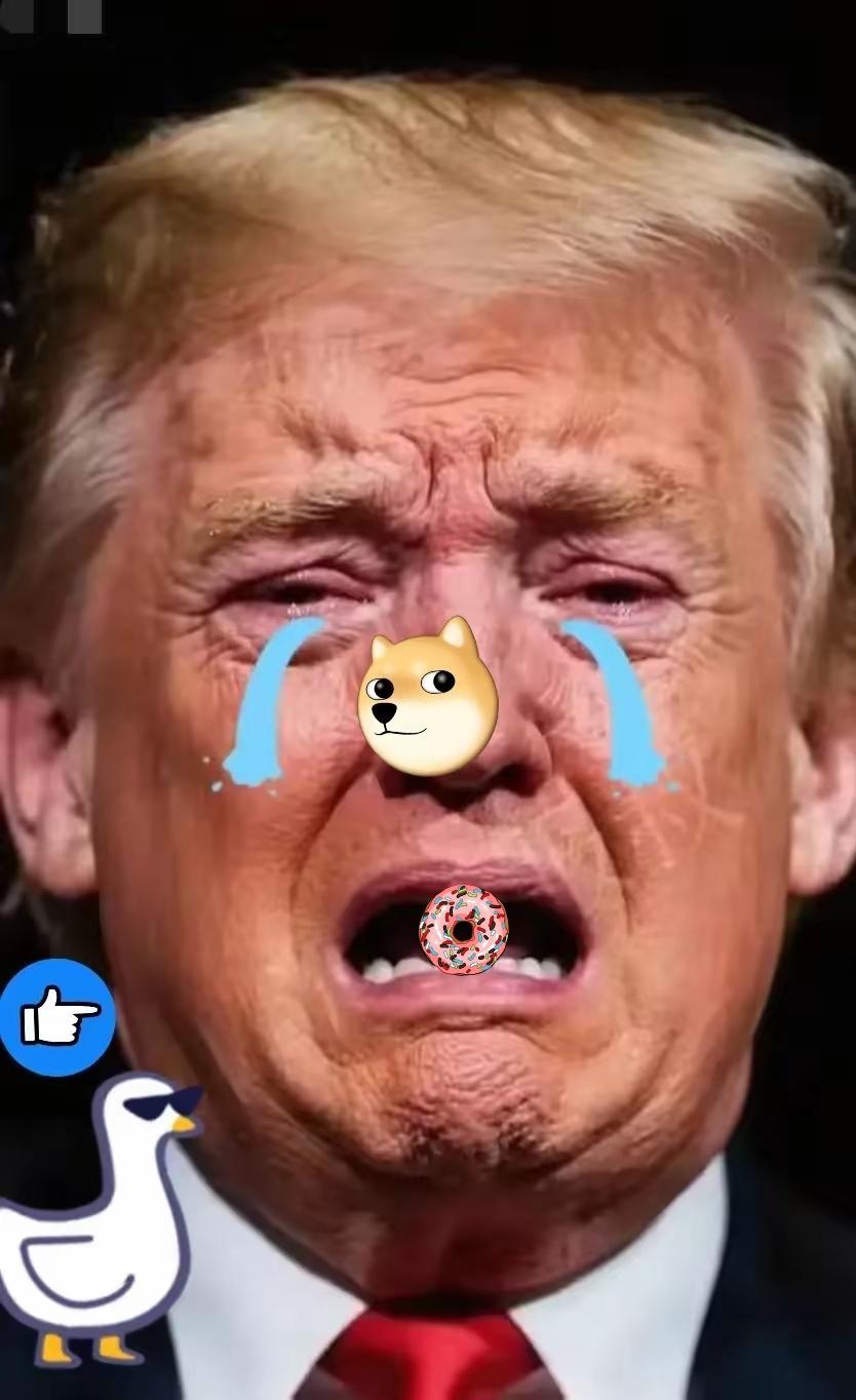 美国消息美国众议院以237票赞成、140票反对的投票结果，正式宣布搁置了得克萨