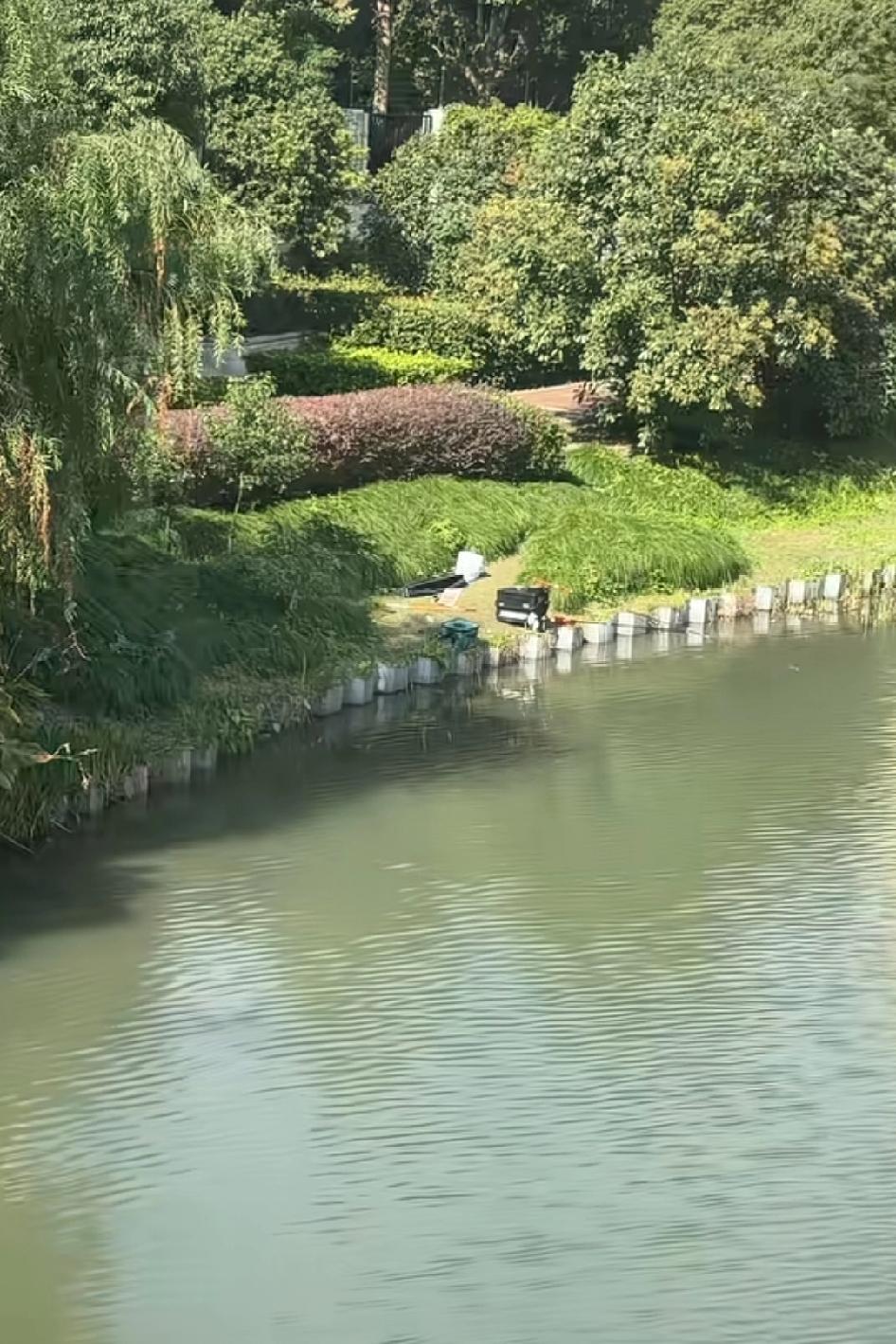 钓鱼佬没了，湖中间飘了一只鞋，鱼竿还在，会不会躲在树林里拉屎?钓鱼佬会不会去店