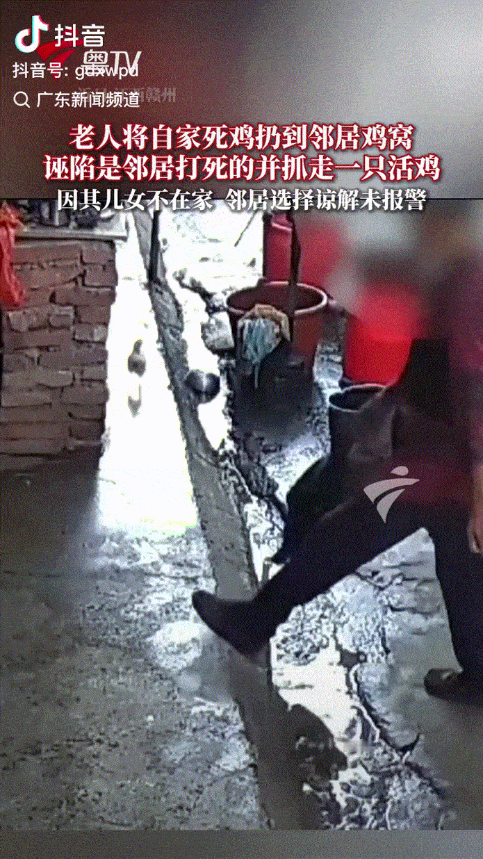 坏人变老了！江西瑞金，80岁独居老人把死鸡丢在邻居家鸡窝，诬陷是邻居打死的，还抓
