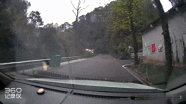 感谢大车司机的不杀之恩[墨镜]