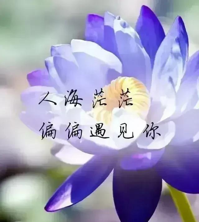命中注定的两个人一定会相见。这并非一句空泛的浪漫辞藻，而是对人与人之