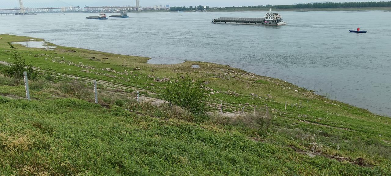 站桩人的春天站桩锻炼只有做到持之以恒，就是我们身体的春天。凡