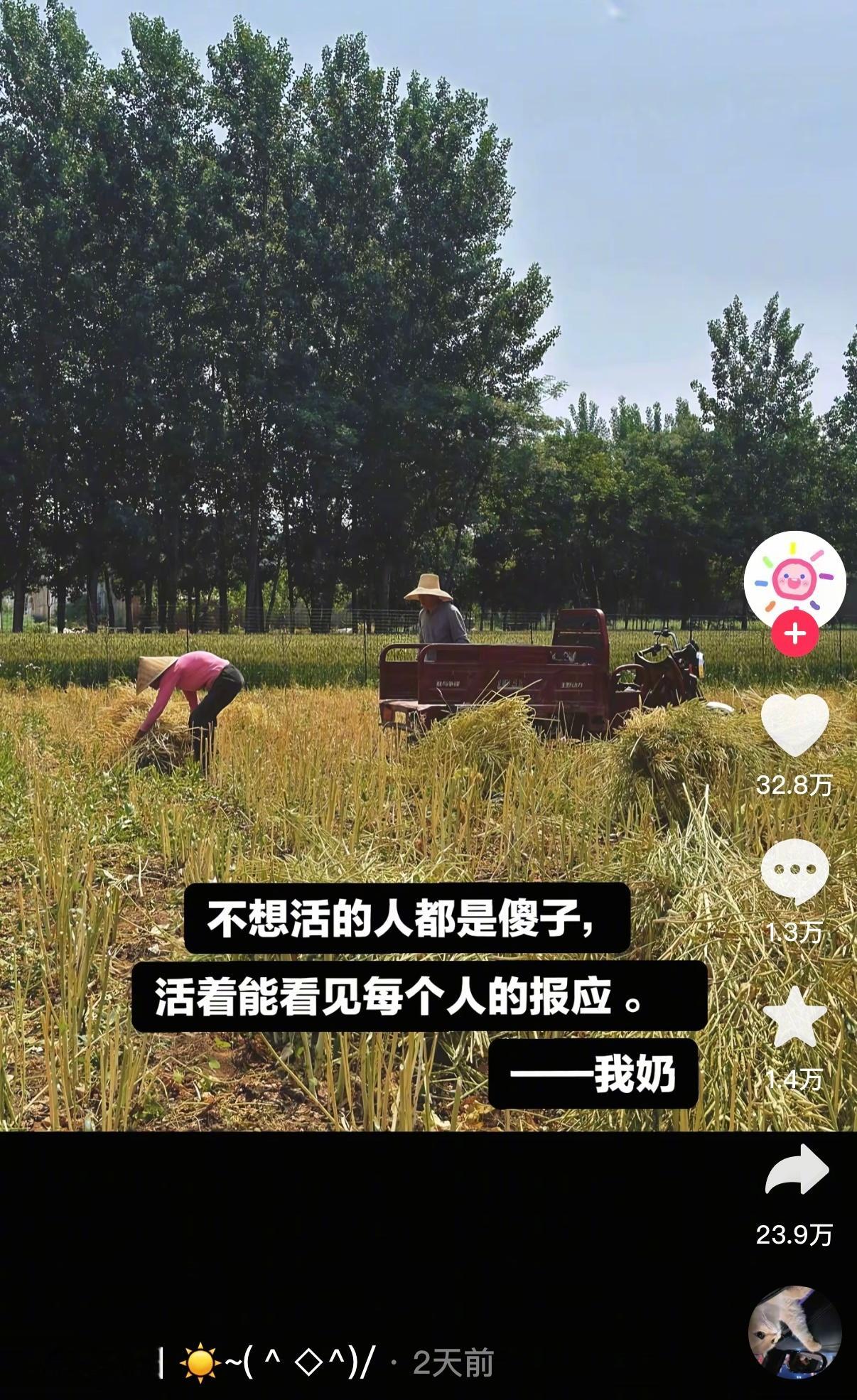 活着才能看见每个人的报应🤛​​​
