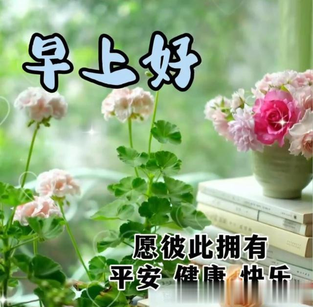 第 4 个：威斯尼斯首页：7月11日周四晨安祝福清晨优雅唯美的早安图片正能量创意问候