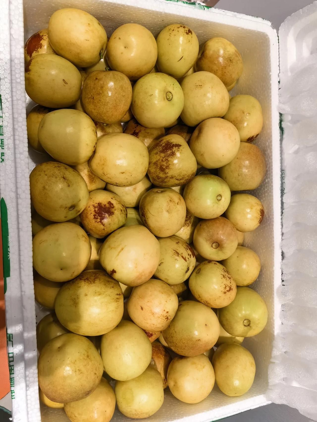 冬枣为什么夏天上市朋友老家是陕西大荔的，全国最大的冬枣产地，前两天