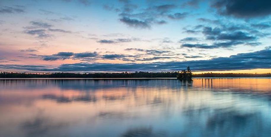 果不其然。越南突然宣布了。这次定的是“省里三把手”全部用非本地人：管