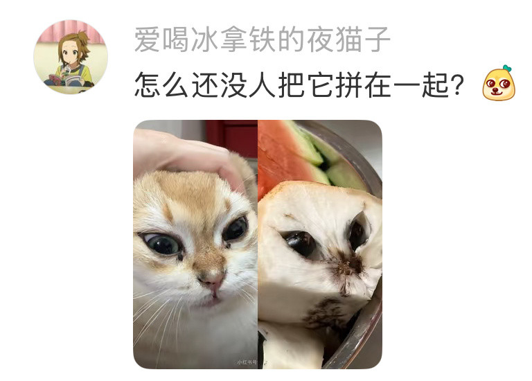 怎么身边到处都是表情包