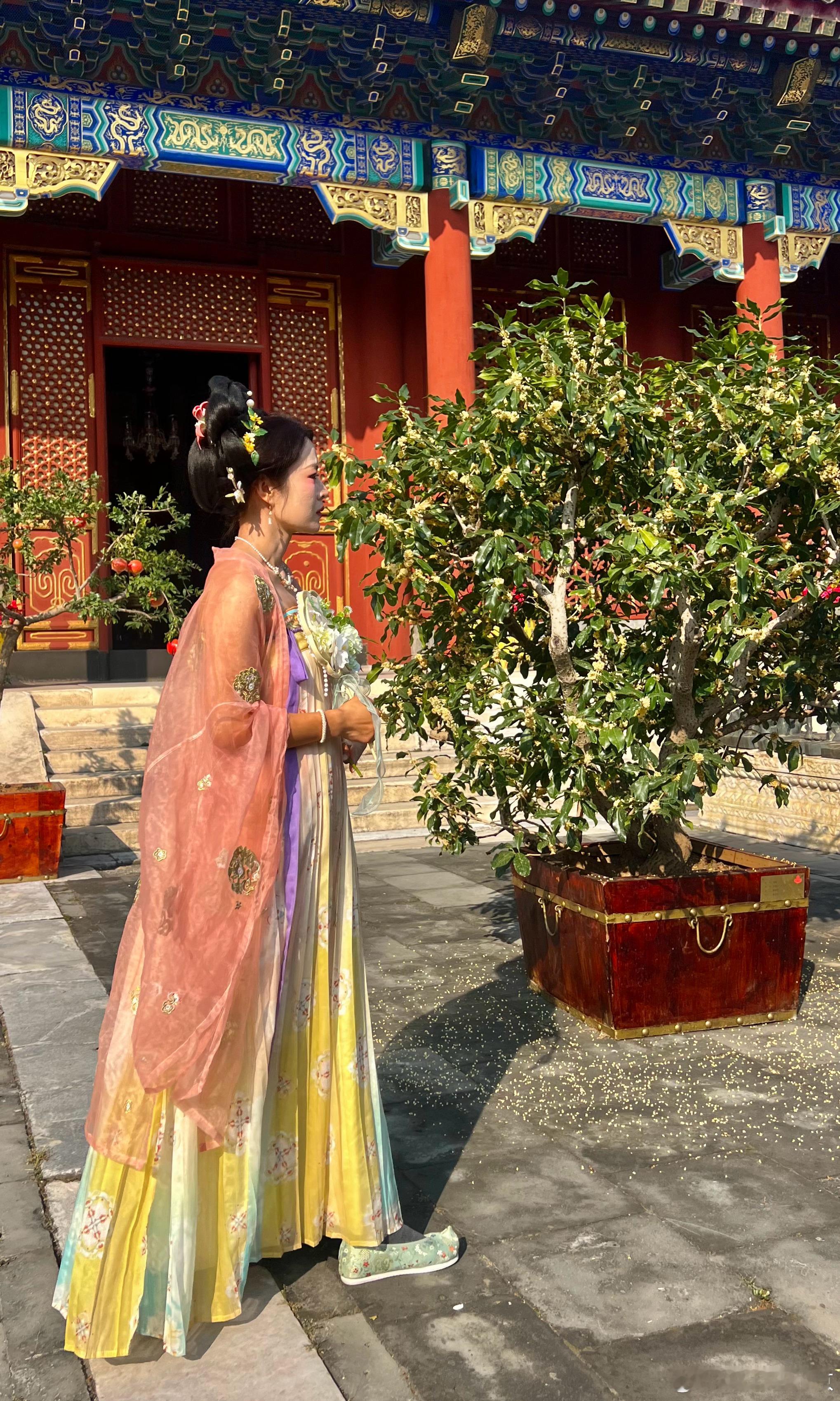 大美中国北京的秋色桂花节仁寿殿前桂花香打卡美丽的中国超话​​​