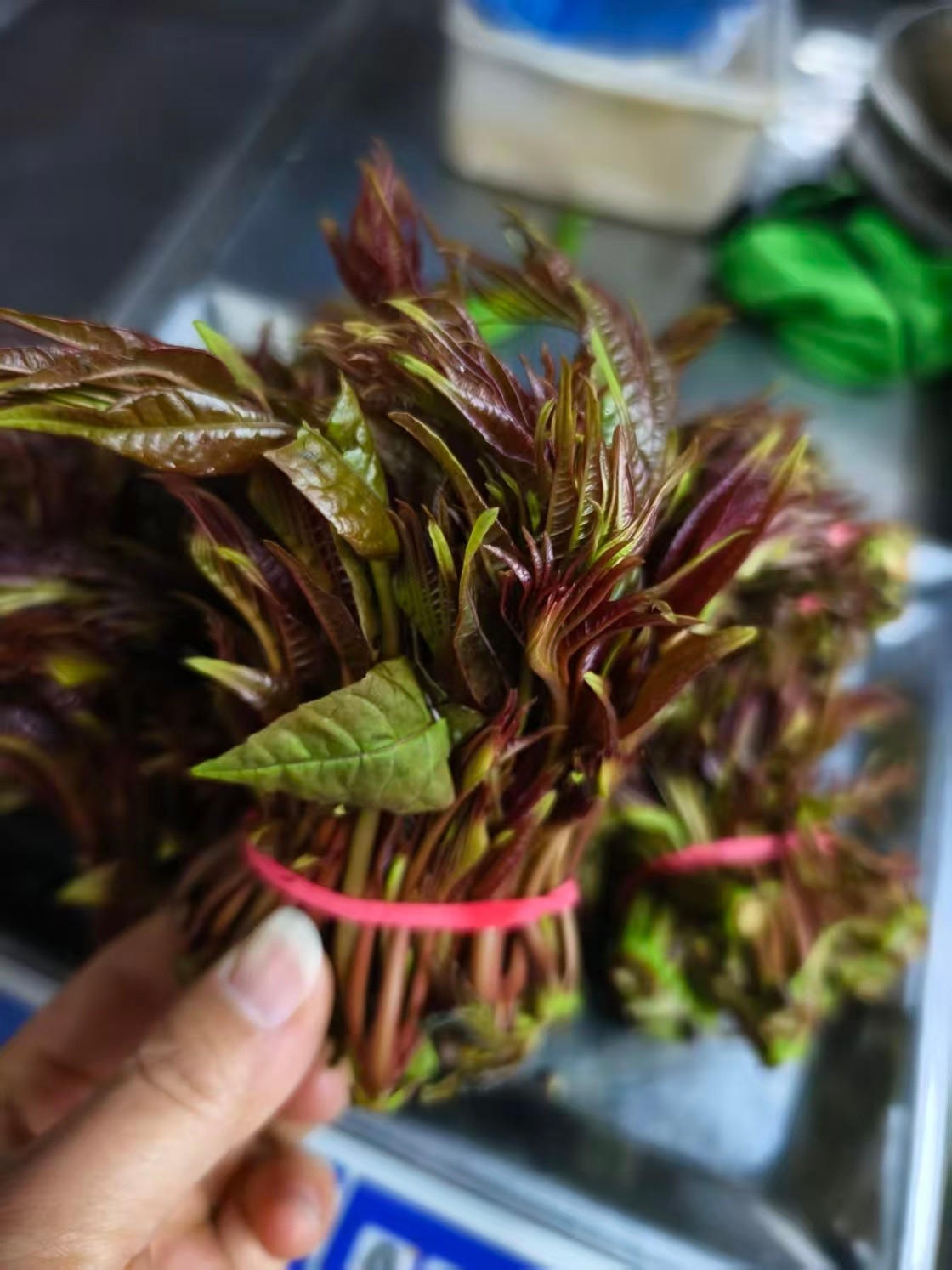 头茬香椿收购价比肩五花肉作为“春天第一鲜”，香椿称得上是每年春菜的“顶流”。营