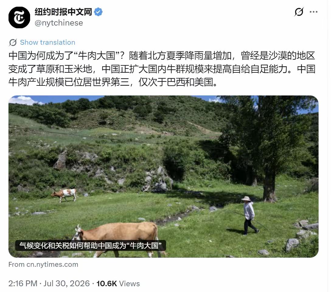 别把中国沙地变绿洲，简单归功于下雨！纽约时报没有说出真相！纽约时报中文网今天