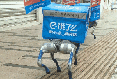 看来，狗子们也要加入外卖小哥的行列了，运费会不会降价啊？！人工智能​​​
