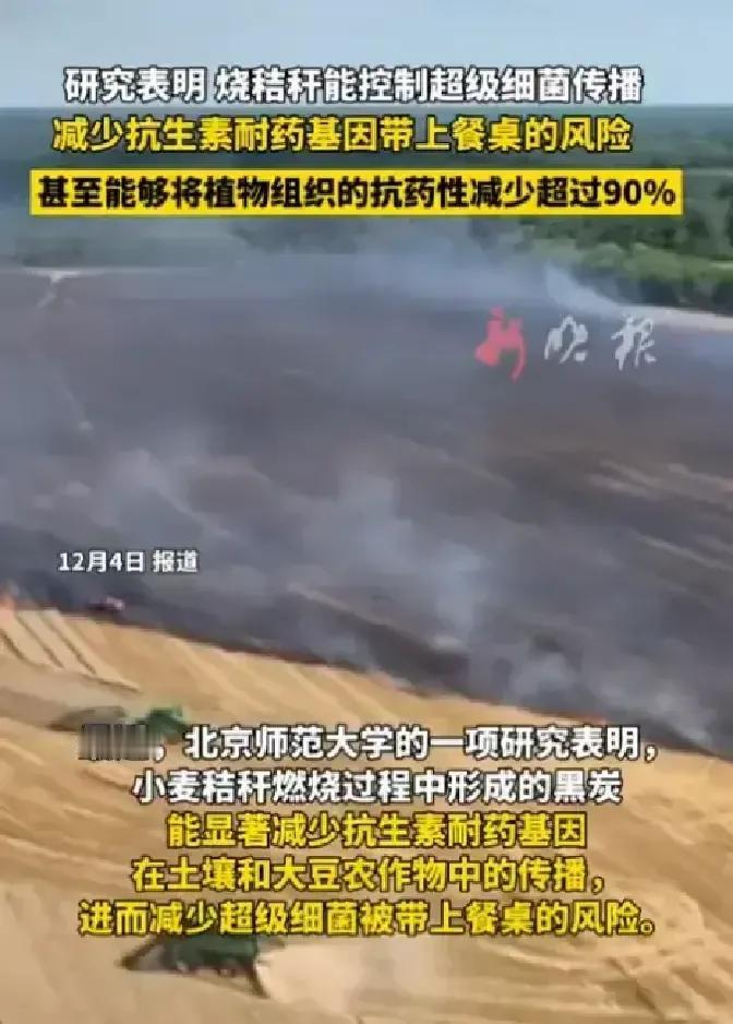 北师大团队把秸秆烧出的黑灰撒进地里，耐药基因一下掉九成。以前说烧秸秆等于放毒，