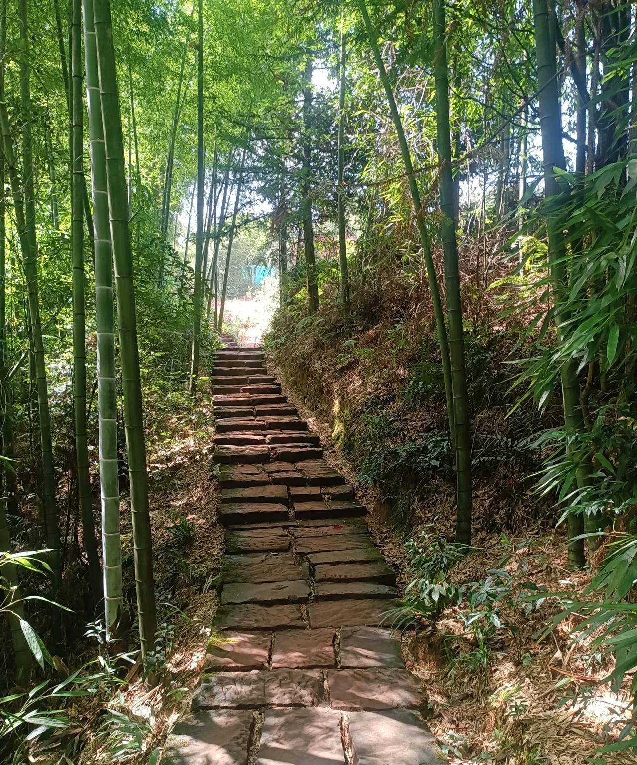 作为一名初三毕业班班主任兼英语教师，我对即将揭晓的中考成绩安之若素，波澜不惊。