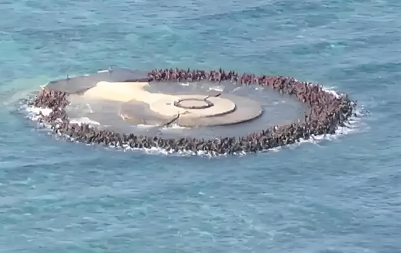 日本想在有争议的“冲之鸟礁”附近开发稀土，但是又怕中国军舰“干扰”他们的非法行径