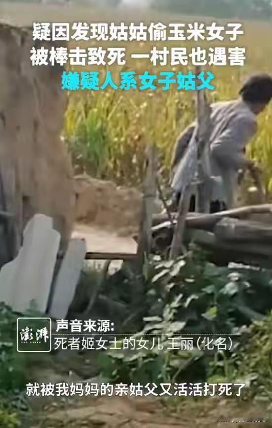 女子发现姑姑偷玉米拍视频，遭姑父持棍打死，邻居报信也惨遭毒手女子发现姑姑在偷