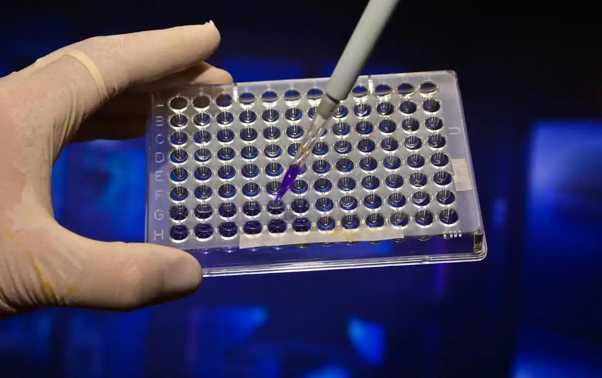 比光刻机断供还严重？！日本这招真要下狠手，中芯、长存可能“断供”！国产芯片最后的