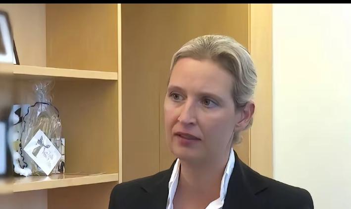 “我绝不允许德国军舰到中国家门口巡航。”魏德尔在接受采访时说的一番话，展示出了难