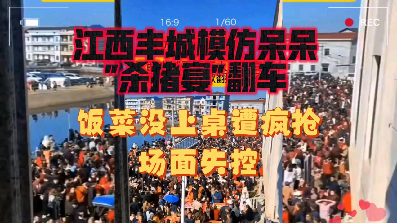 【江西杀猪宴跟风呆呆翻车】江西翻车，株洲翻车，为何？组织不足，是因为太想跟风