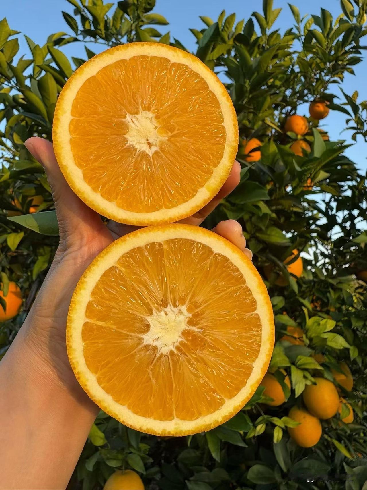 我爸叫我卖脐橙，我卖给谁呀，圈子都是赣南人[笑着哭]