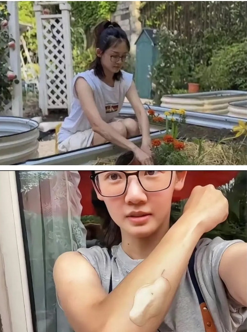 我真的很想说郑恺要不你离婚吧我敢说谁娶苗苗都会幸福，我真的太羡慕郑恺你了，