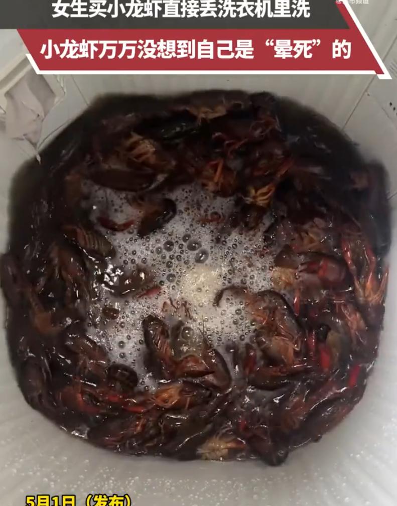 5月2日，贵州一位女士的操作直接把全网看傻了。她买了一大袋小龙虾回家，盯着那堆浑