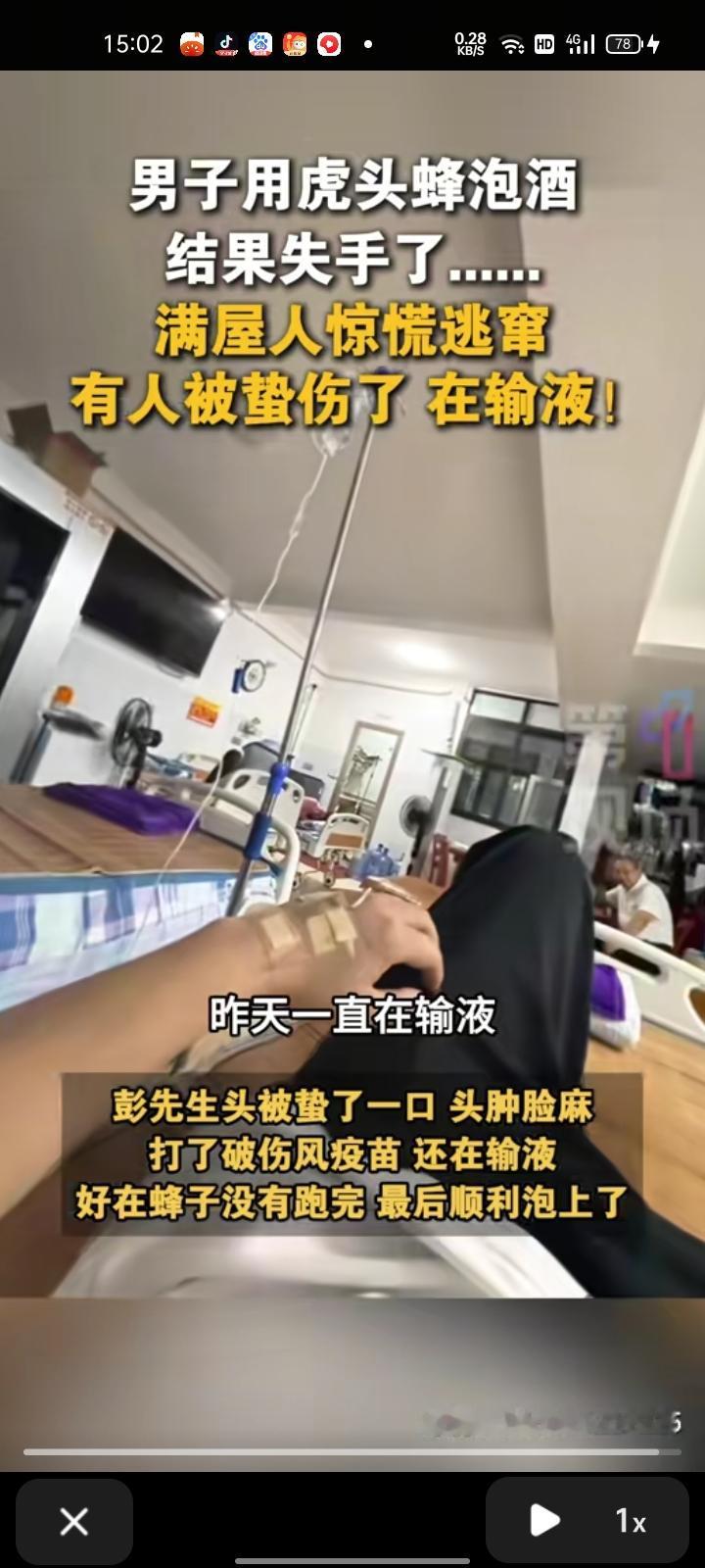 9月14日，四川南充。烟酒店一顾客用虎头蜂泡酒，操作失误，虎头蜂不小心跑了出来，