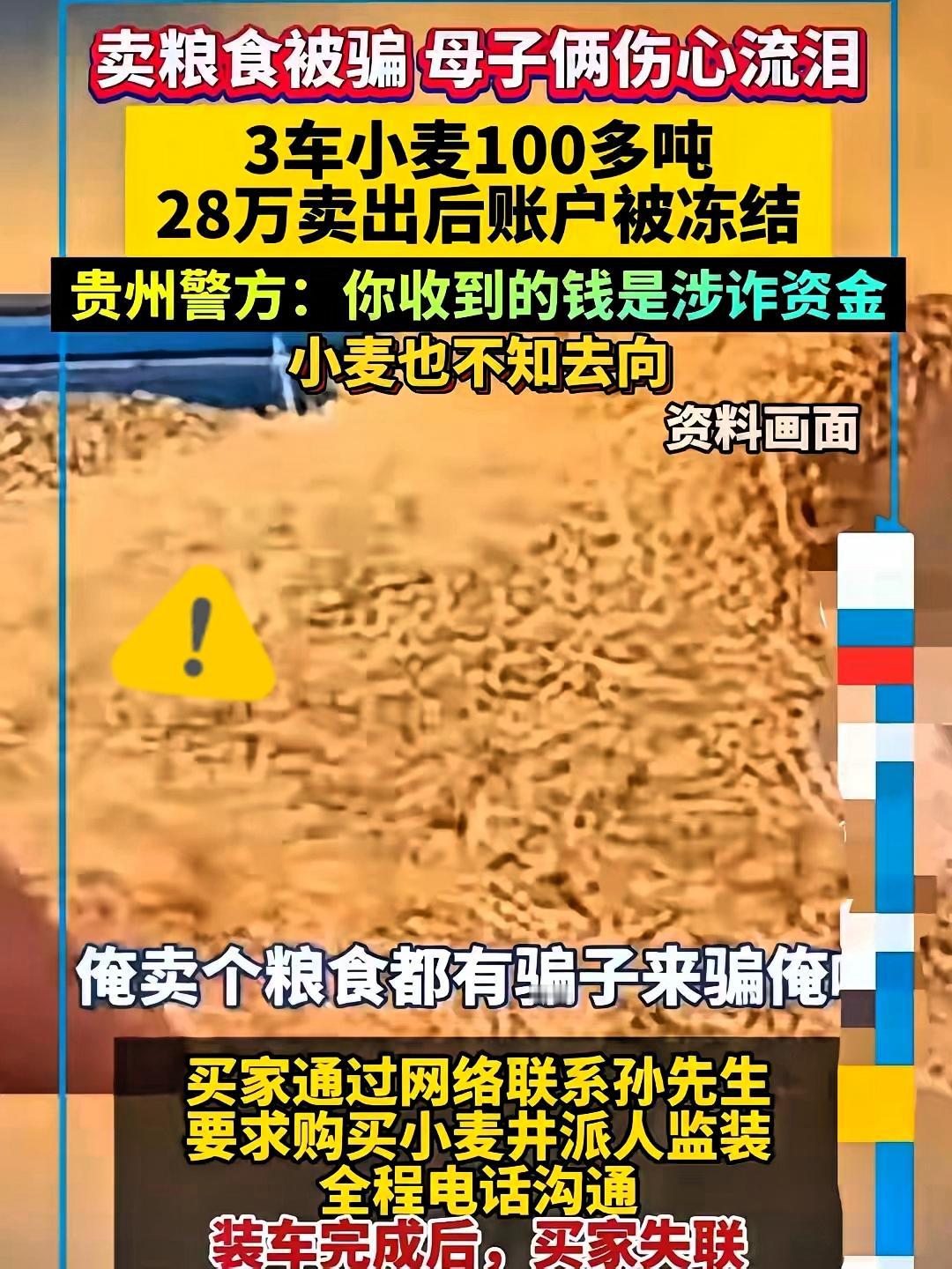 见过最憋屈的骗局吗?农户辛辛苦苦拉去的粮食给了人收到的货款转头就被冻结,找谁