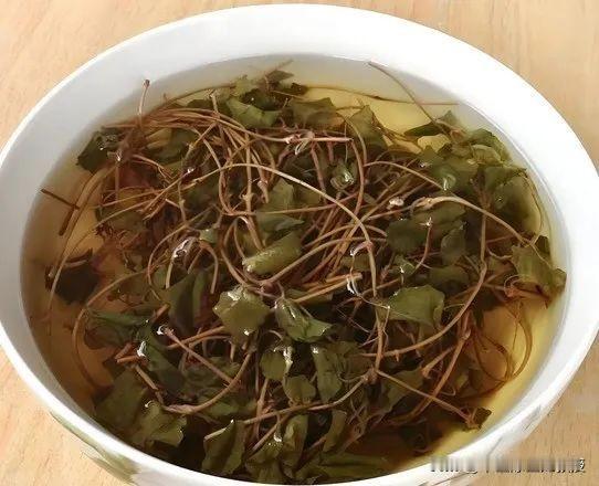胆囊结石就怕它，煮成茶，不再怕！ 金钱草是人们熟知却常低估的草药，长得不起眼