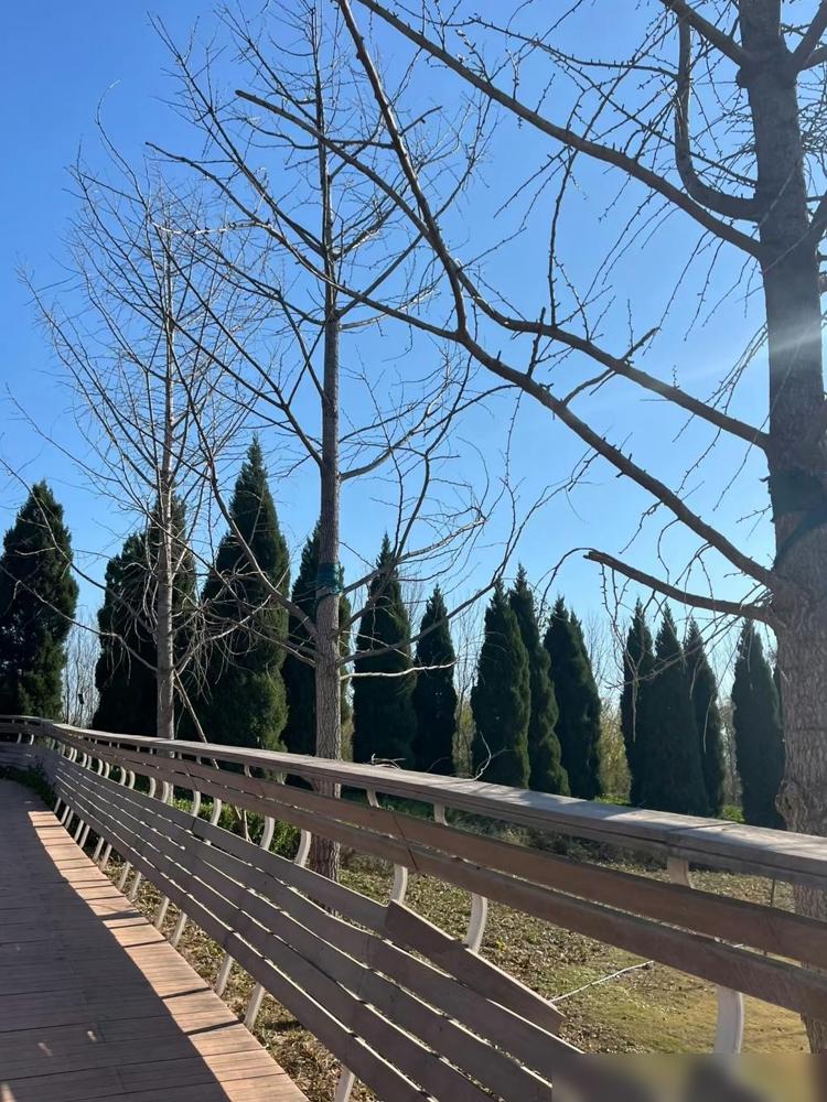 我老公是72年的，马上54岁了，老的太快了，好像直接进入了老年状态。最近总盯