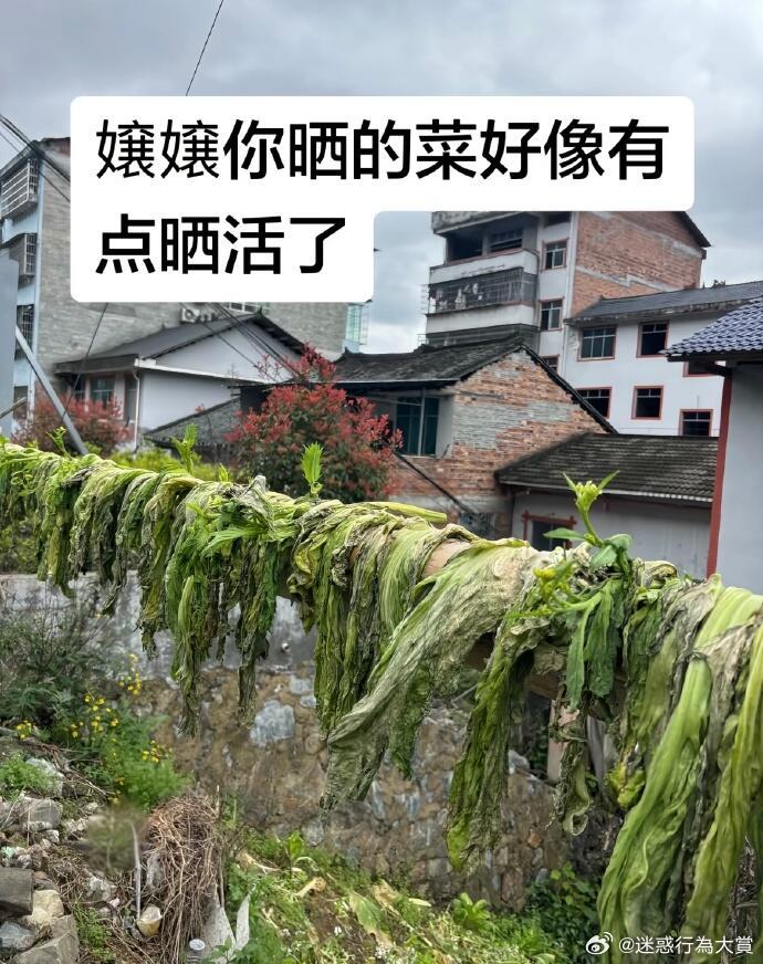 菜：md土呢？！