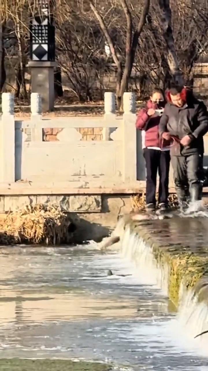 你别笑，没想到吧，这我也没想到。