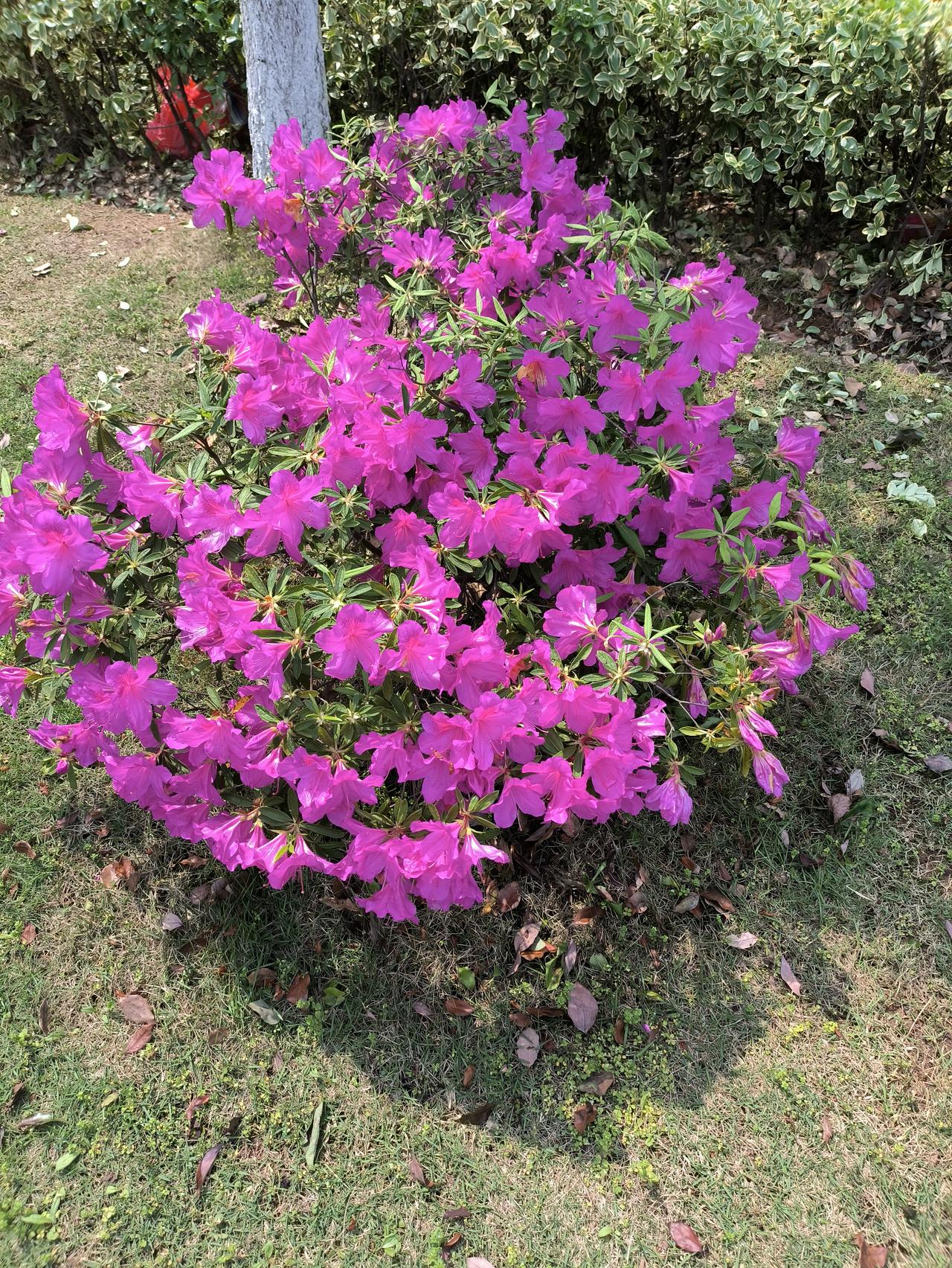 笑话：高五与五本（4月24日原创）老同学见面，免不了寒暄几句。甲：你儿子