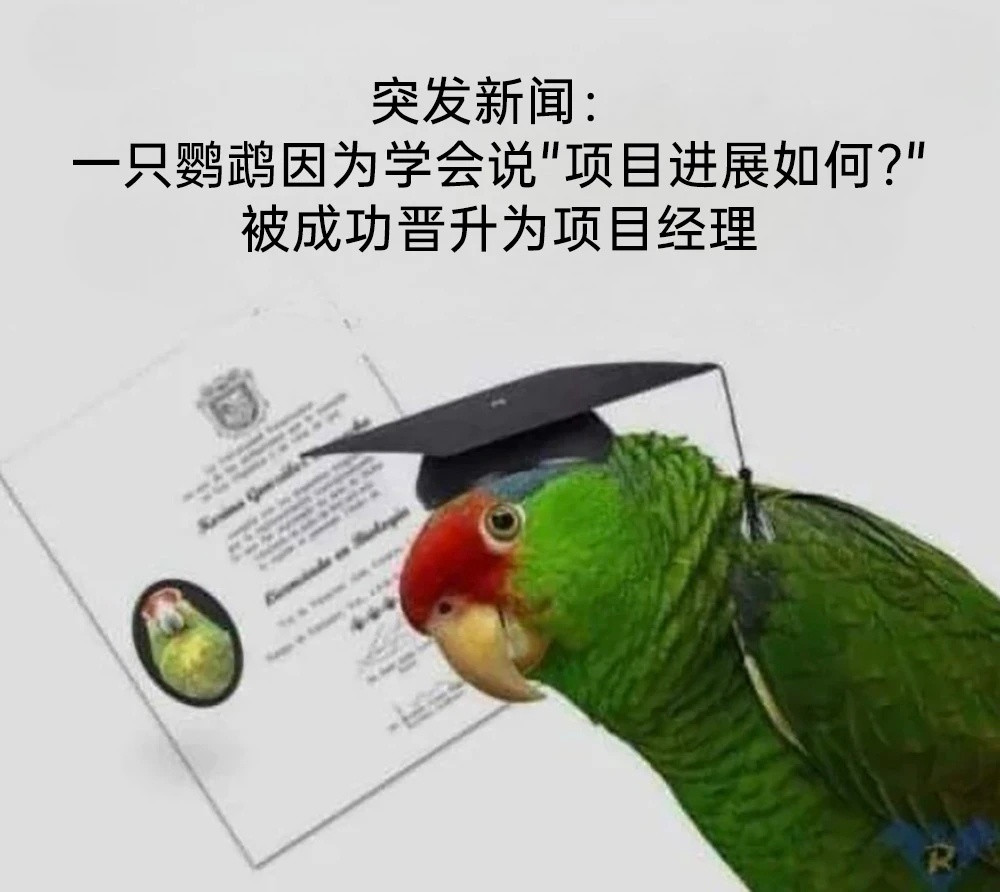 这是真项目经理呀memes