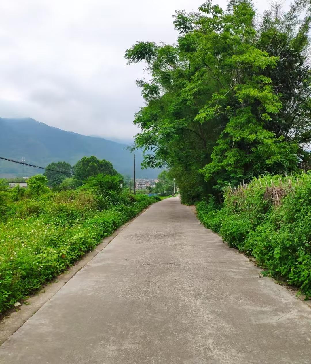 人生所有问题，本质上是经济问题。所有的经济问题，本质上是认知问题。所有的认知问题