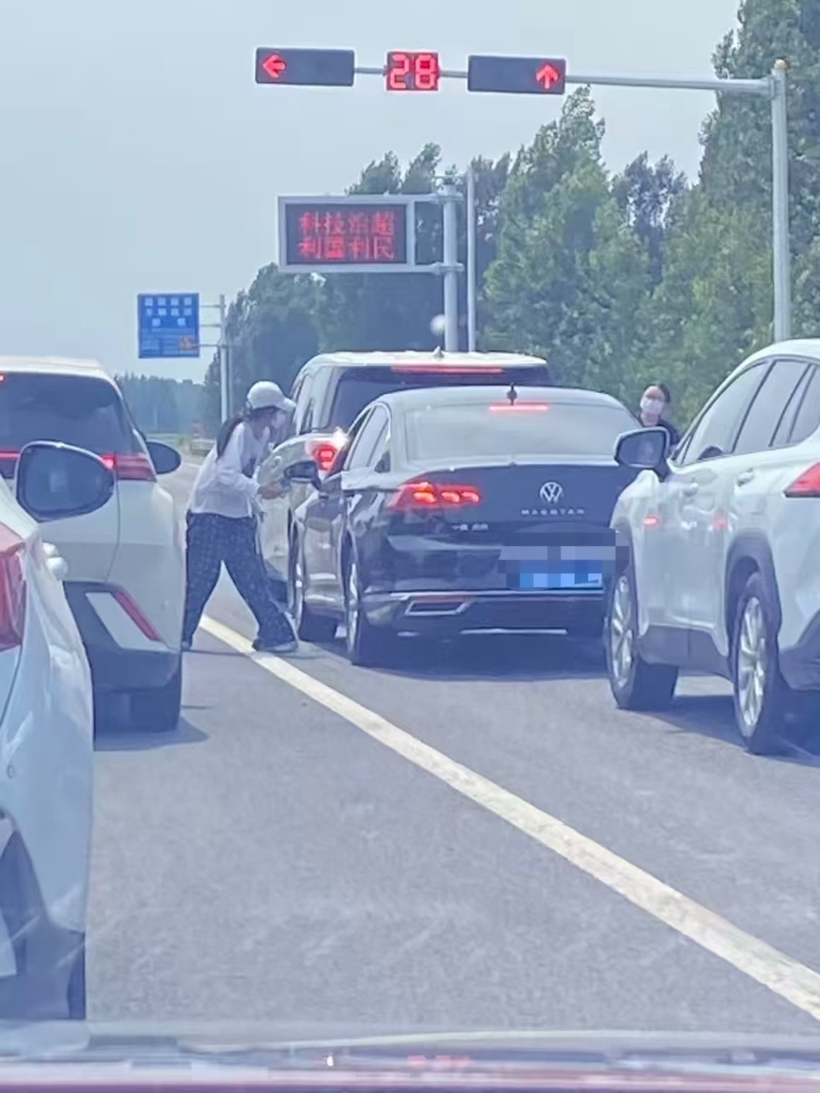 这是？