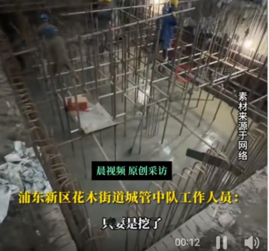 上海，一座以精致和秩序著称的国际都市。然而，在11月12日，这片繁华的土地上，一