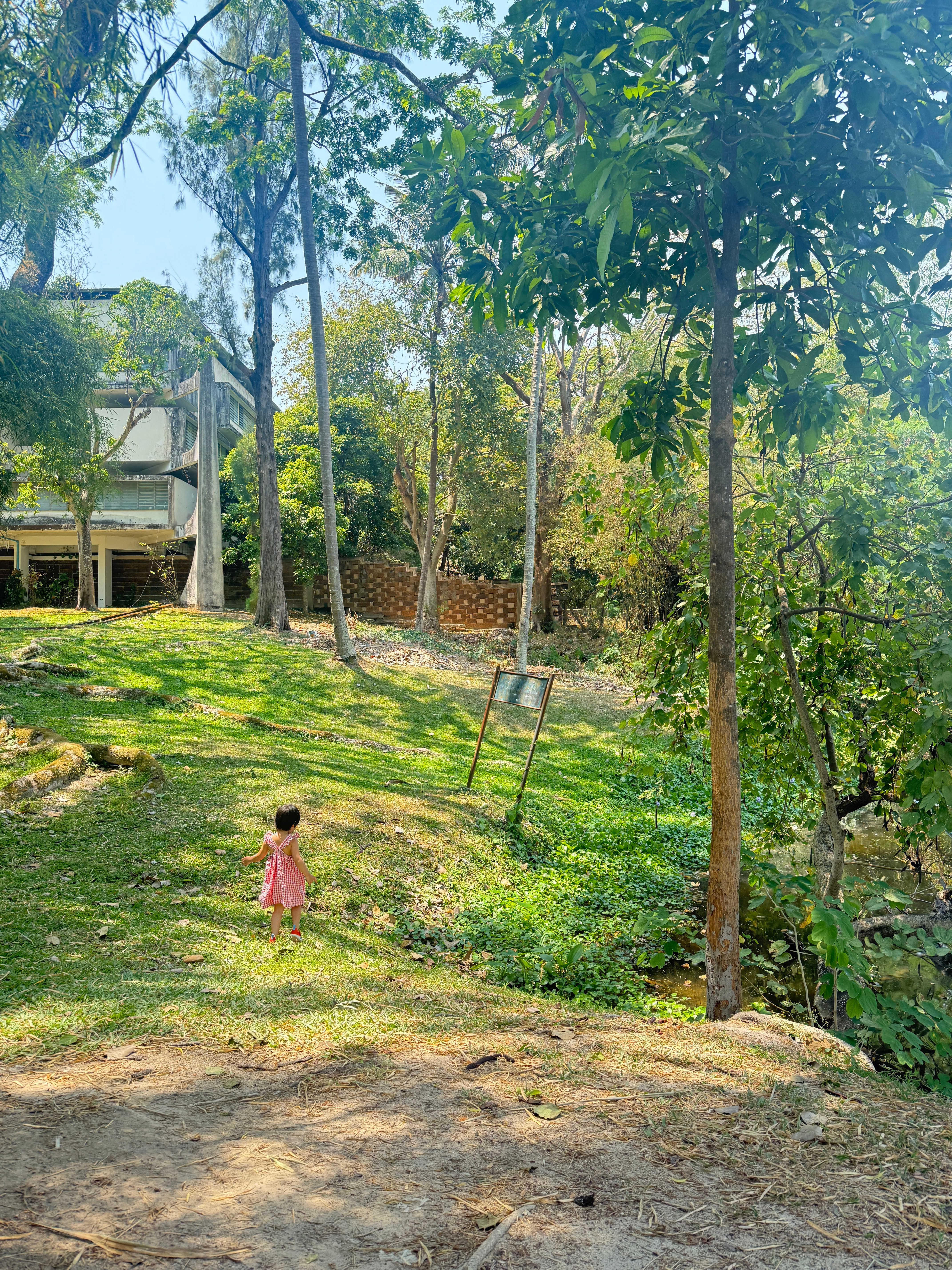 有点感慨，大名鼎鼎的清迈大学，我们就这么开车进来了，没有盘问，没有登记，没有门卫