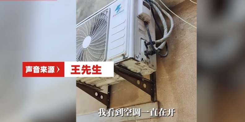 “这才是有钱任性啊！”7月4日，安徽阜阳，一女子因为天气炎热，担心自己养的4只小