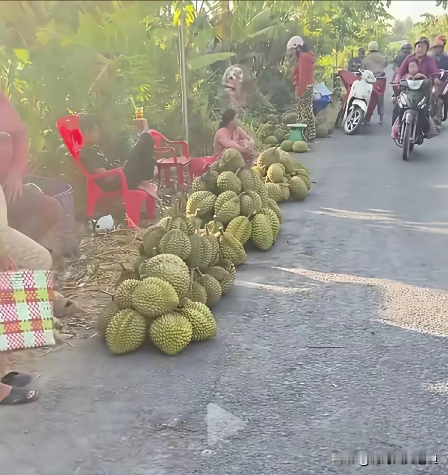 在越南街头逛一圈，你会发现榴莲的待遇跟咱们这儿完全两码事——路边摊随便一摆，论个