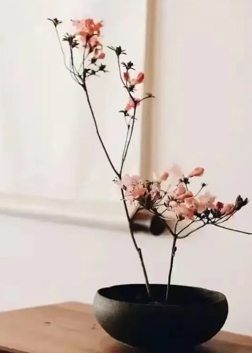 一位民宿老板说："自打经营了民宿之后，我是就真的很难再相信爱情了！尤其是那些大龄