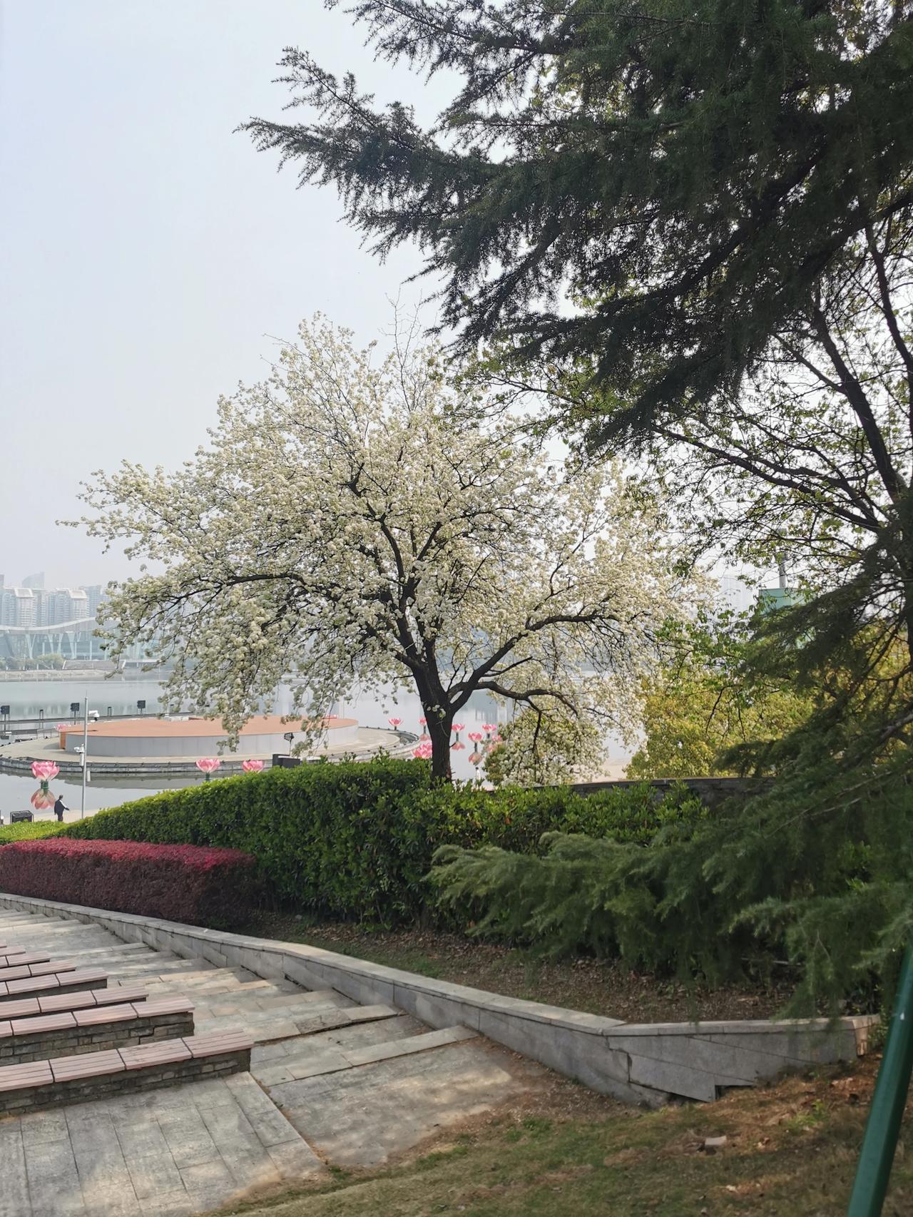 建筑央企组建自有作业队伍辨证看已经有两年了，国家一直在倡导大型建筑央企要组建