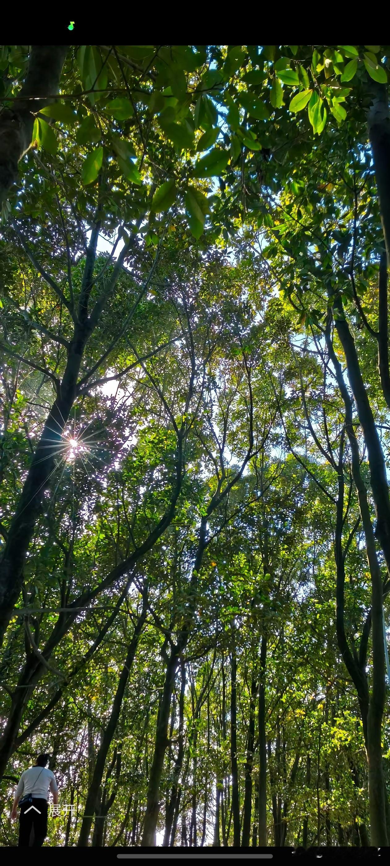 山里风光，原生态