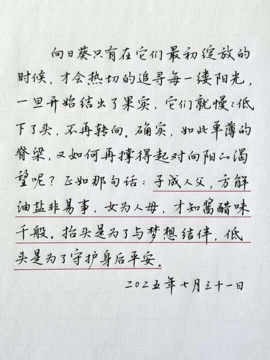 如此单薄的力量，又怎能撑得起对梦想的渴望