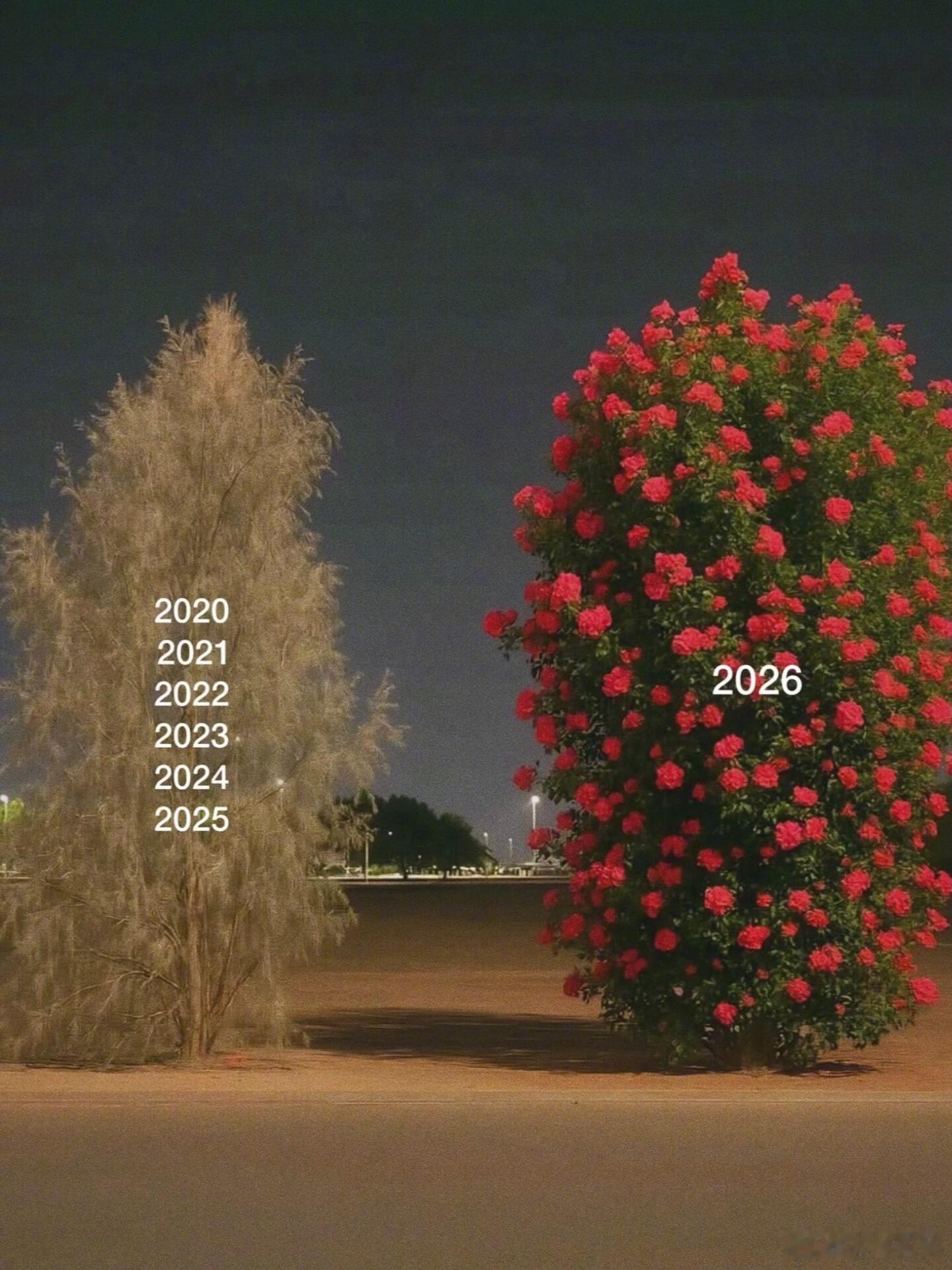 所有人接！2026年以好运开场…