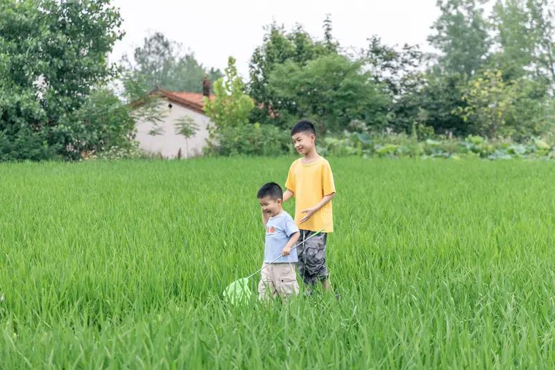 弟弟认为妈妈偏心哥哥一番话劝服2024年端午山东临沂的这场家庭饭局太有看头了