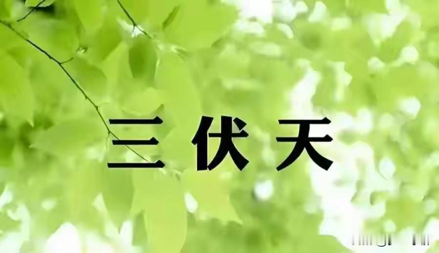 今年头伏不一般！三大特点叠加，三伏难熬，老乡提前备好7月15日正式入伏，今