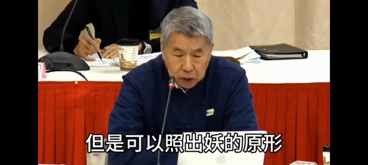 郑丽文偷着笑，启用张亚中是她最明智也是最有价值的决定。纵观国民党内部唯一具备理