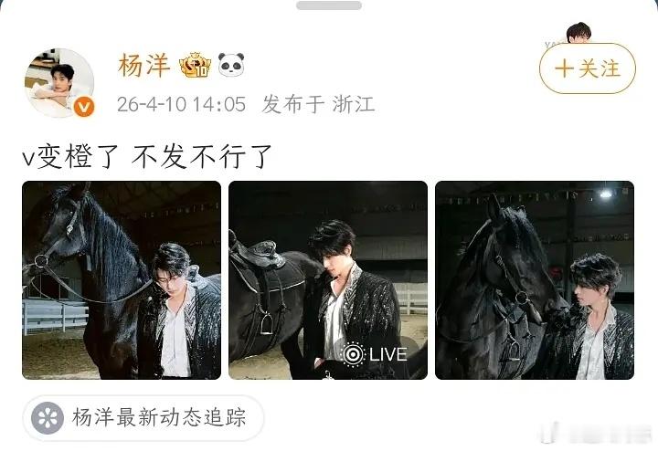 杨洋真在意平时也不会不发了，倒不如说因为考虑到以后剧播宣传什么的，得跟大眼搞好关